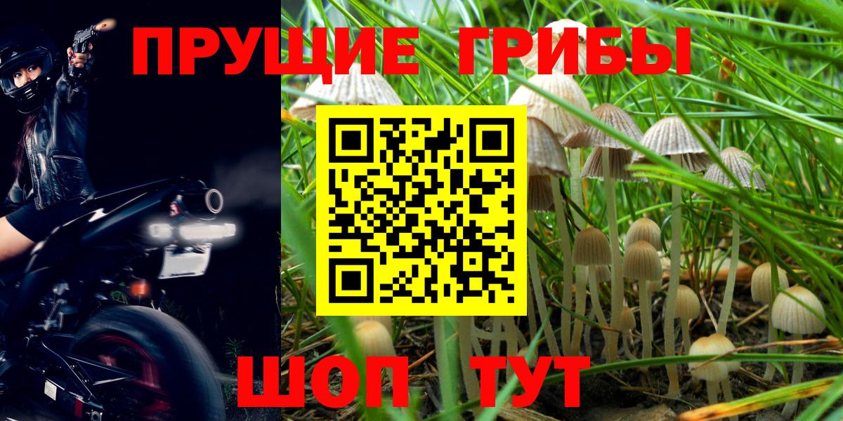 Галлюциногенные грибы мицелий Надым