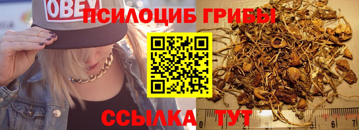 Надым  Галлюциногенные грибы мухоморы  Псилоцибиновые грибы прущие грибы  Вход с VPN 